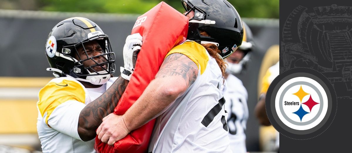 Cook, Iheanachor set for camp battle taken in Pittsburgh (Steelers)